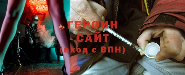 гидра Ельня