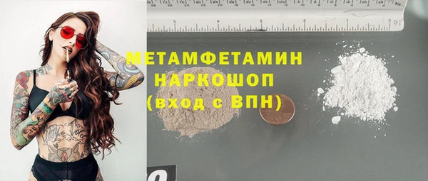 гидра Ельня
