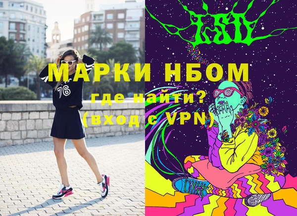 гидра Ельня
