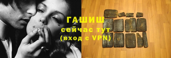 гидра Ельня