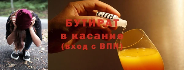 гидра Ельня
