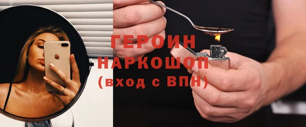 гидра Ельня