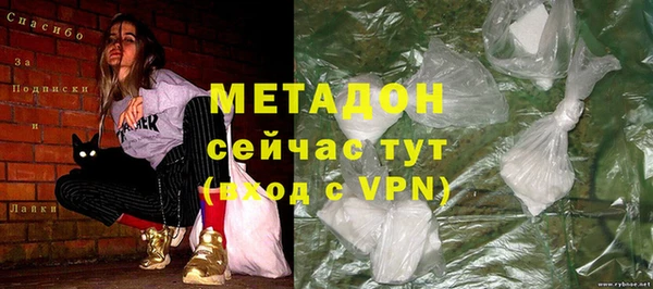 гидра Ельня