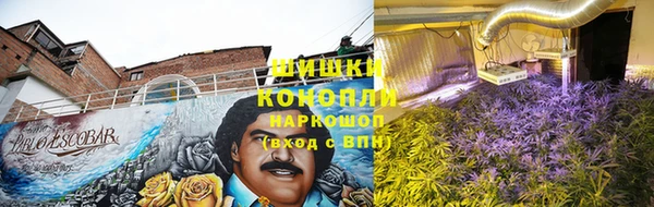 spice Елабуга