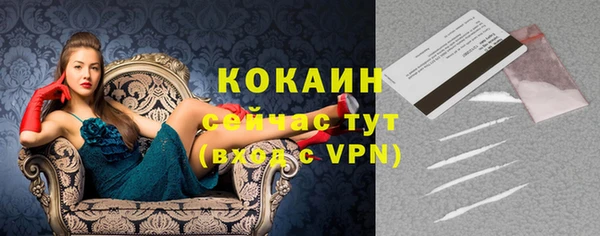 гидра Ельня