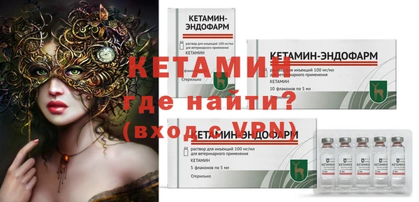 гидра Ельня