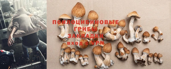spice Елабуга