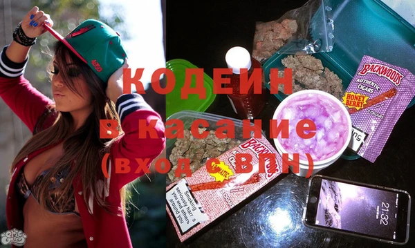 гидра Ельня