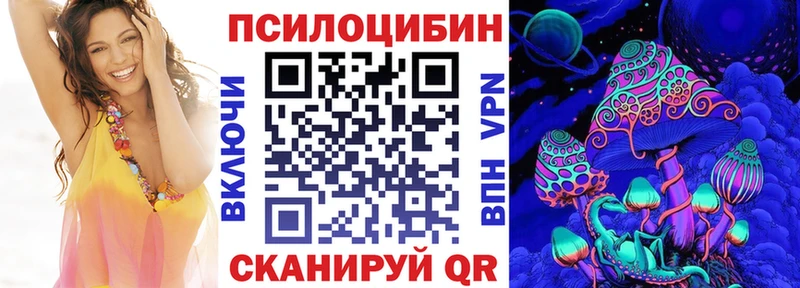 Купить  Нижнекамск  Галлюциногенные грибы Psilocybine cubensis 